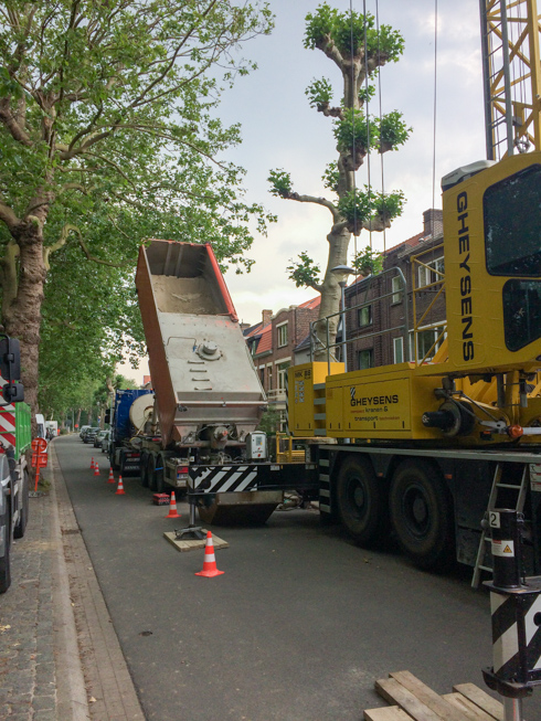 Tuin en omgeving - foto 2